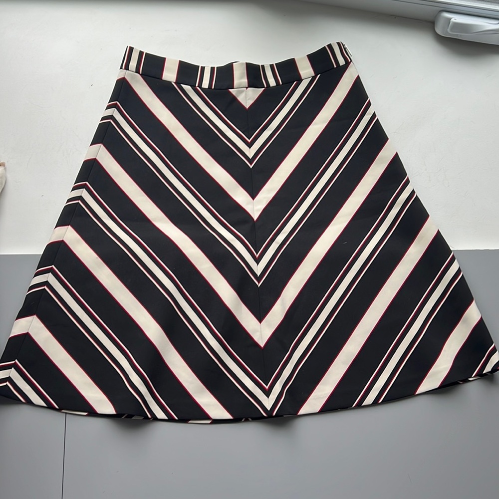 Women’s NWOT Zara Skirt